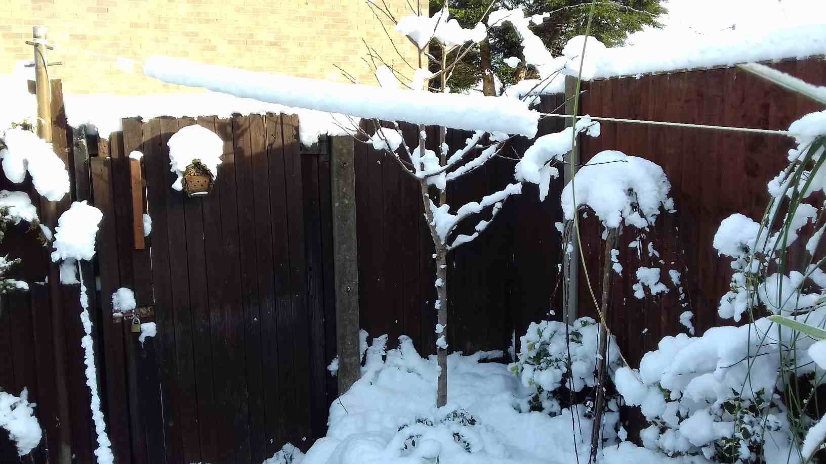 ImagesGarden/2017-12 Snow At Back Gate.jpg